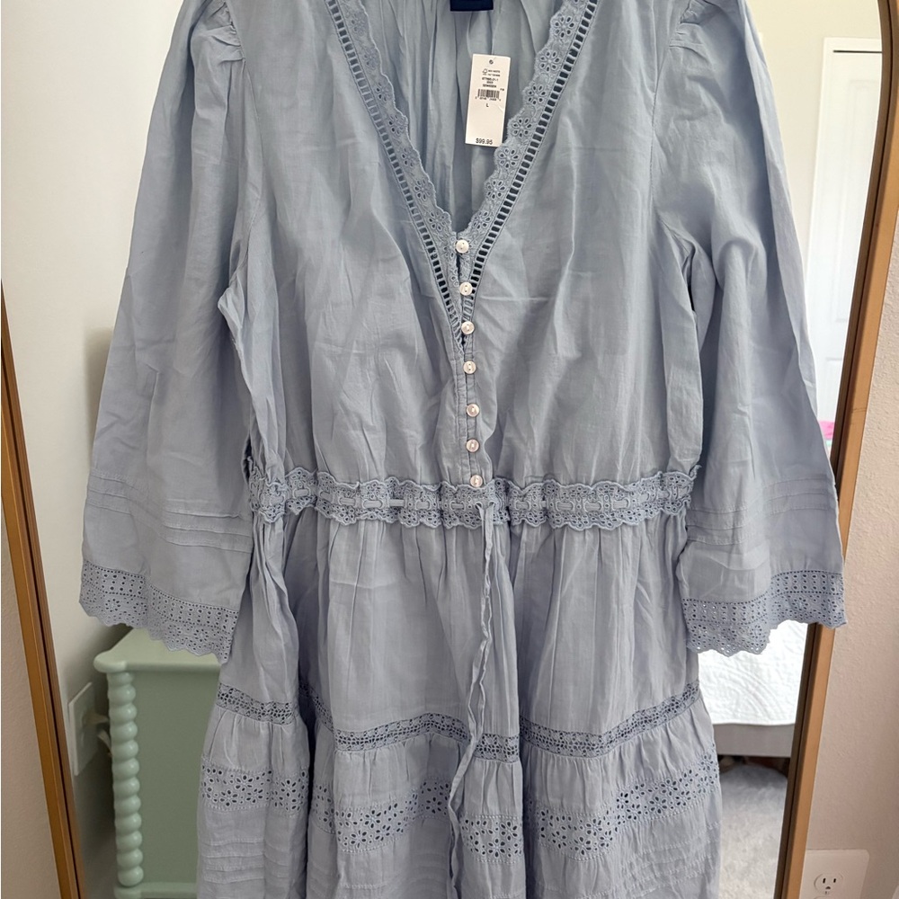 GAP Pale Blue Eyelet V-Neck Dress